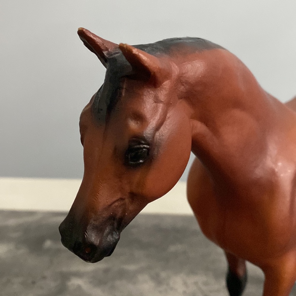 Breyer Rugged Lark - Picture 5 of 10